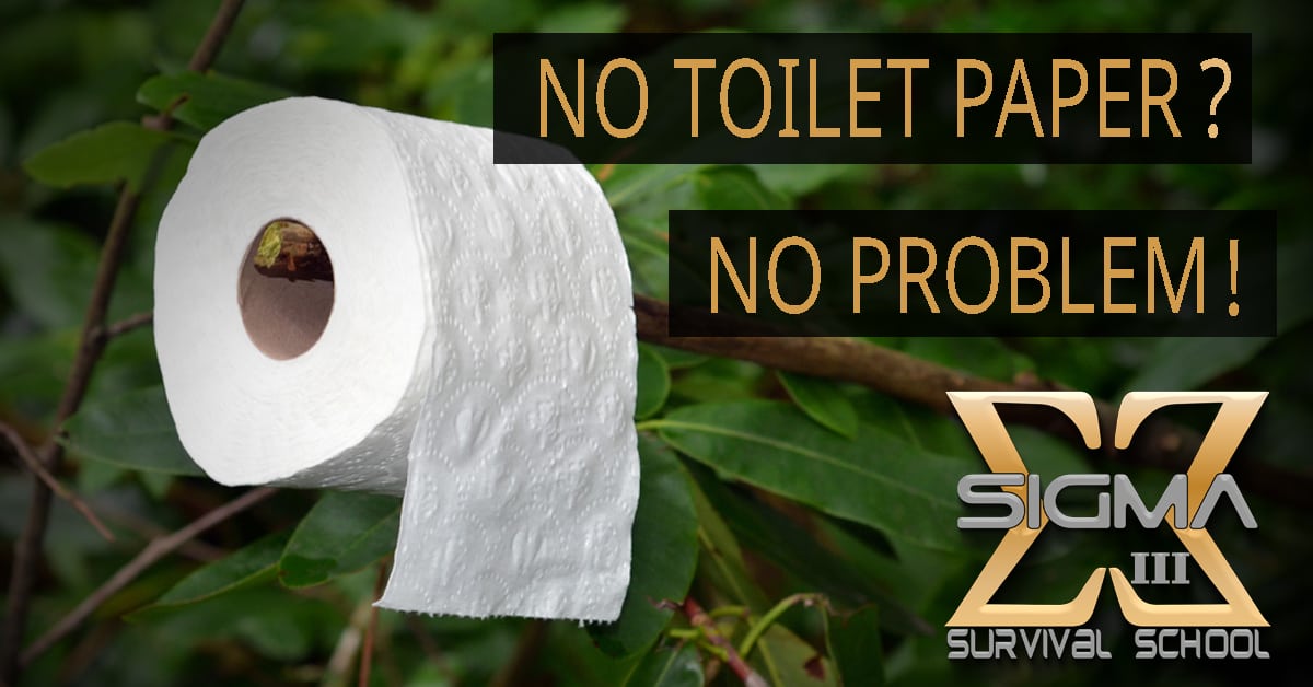 are wipes better than toilet paper